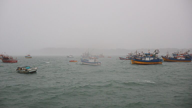 Doctor en geofísica y altura de olas en un tsunami: “Un metro puede llegar a ser muy destructivo”