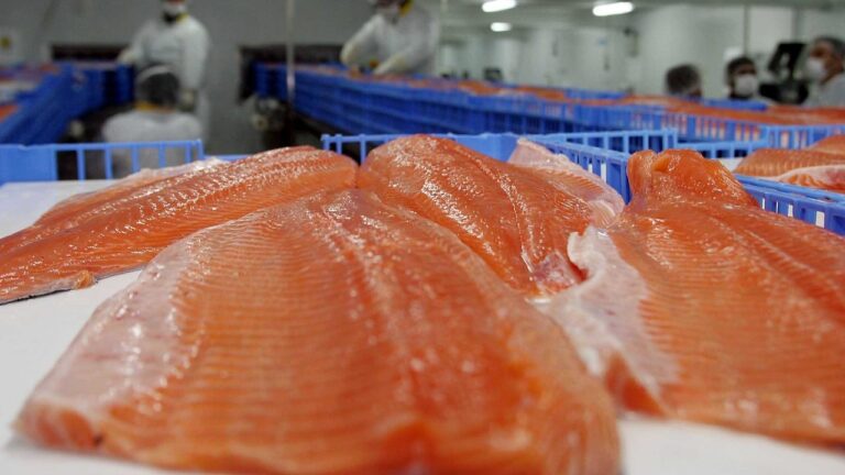Minsal emite alerta sanitaria por presencia de listeria en salmón ahumado South Wind: Revisa el lote afectado