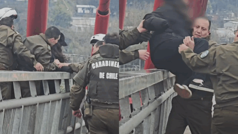 Temuco: Carabineros evitaron que mujer se lanzara desde un puente