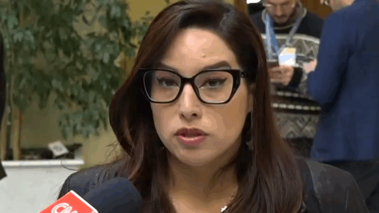 Diputada Arce acusa hostigamiento del subsecretario Orellana en Comisión de Educación: “Me culpó de que el proyecto se cayó”