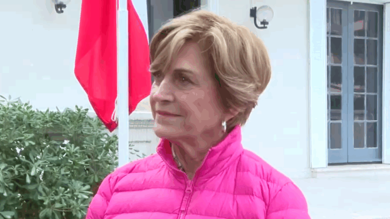 Matthei responde sobre nueva baja en Cadem: 