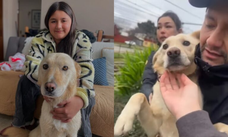 Una luz en medio de la tragedia: Encuentran con vida a perrita 