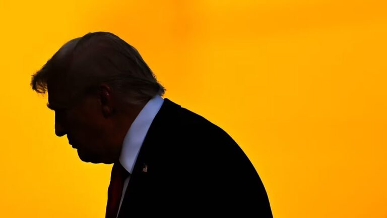 Seis meses del segundo mandato de Trump: División entre votantes se acrecenta
