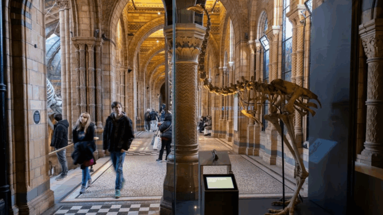 Colossal Biosciences busca 