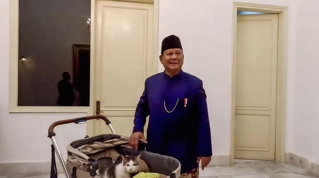Polémica en Indonesia tras video que muestra a Bobby, el gato presidencial, teniendo escolta propia: Gobierno defendió la medida