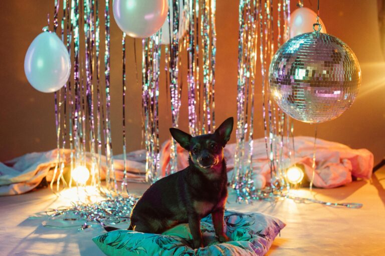 Día Mundial del Perro 2025: Beneficios e impacto positivo de tener un amigo de cuatro patas en tu vida