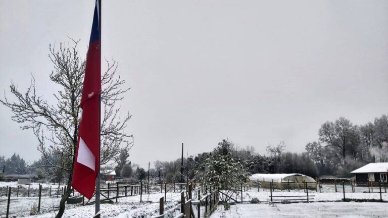 Emiten aviso por probables nevadas entre las regiones de Coquimbo y Biobío: ¿Cuándo será?