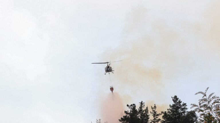 Copiapó: Controlan incendio forestal que está cerca de sectores habitados