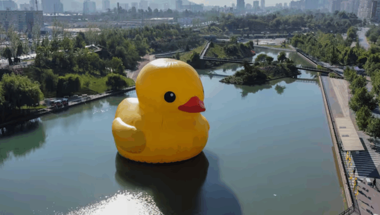 El pato gigante vuelve a Santiago: Dónde y cuándo verlo