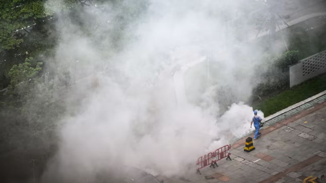 En el sur de China combaten peligroso virus denominado chikunguña: Es transmitido por mosquitos