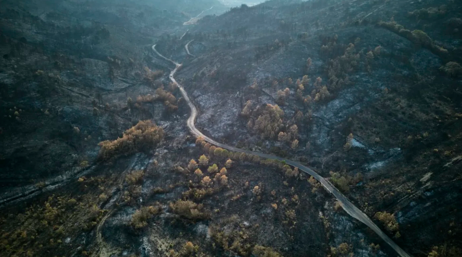Paisaje carbonizado tras un incendio forestal el 9 de agosto de 2025 en Fontjoncouse, Francia. Enormes incendios forestales arrasaron la región de Aude, en el sur de Francia, causando la muerte de una persona. Getty Images