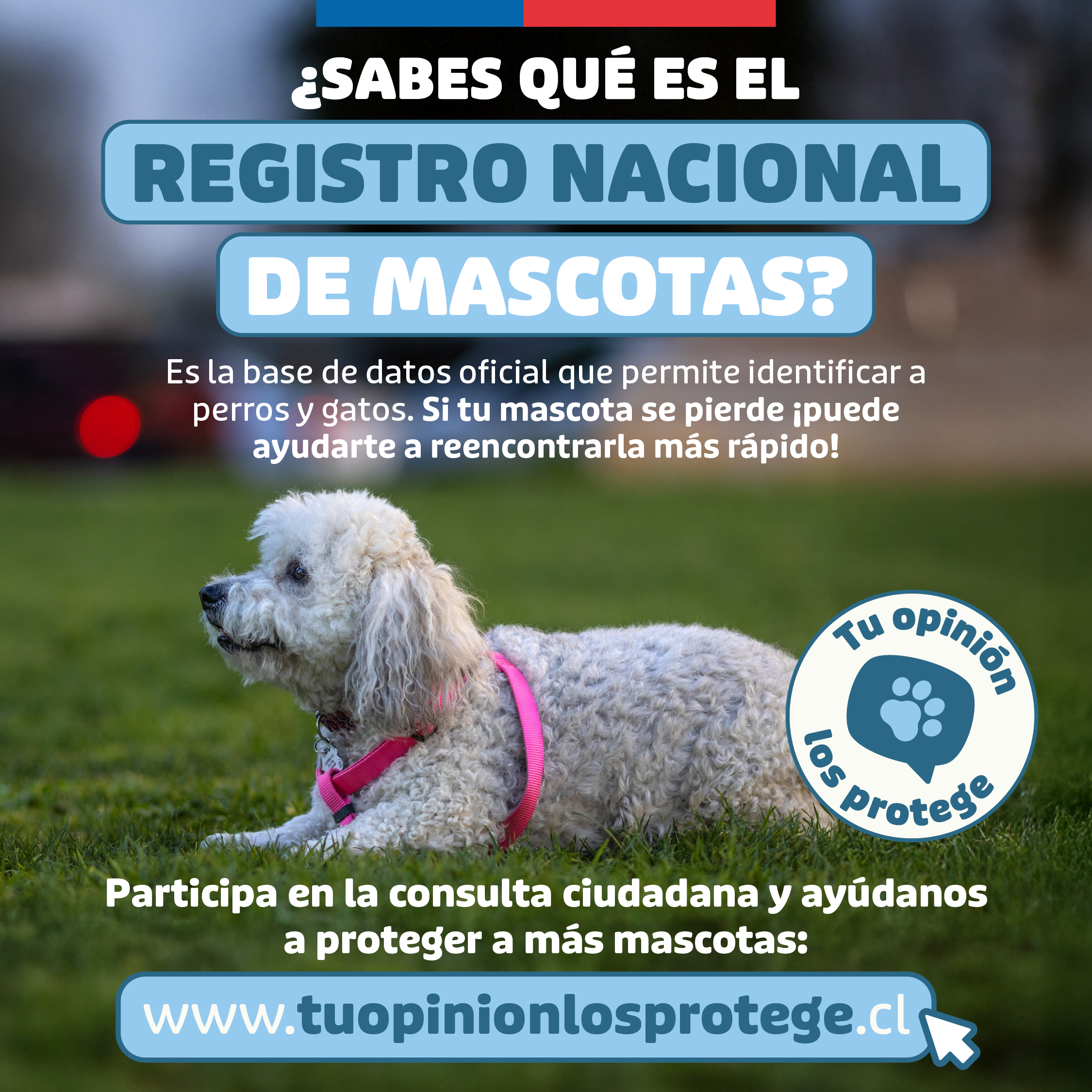 Consulta ciudadana para actualizar el reglamento de la Ley Cholito/Subdere