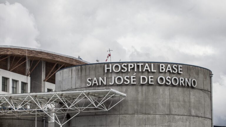 Expertas y caso de brutal maltrato a profesional TEA en Osorno: “Cuando callamos o relativizamos, nos volvemos cómplices