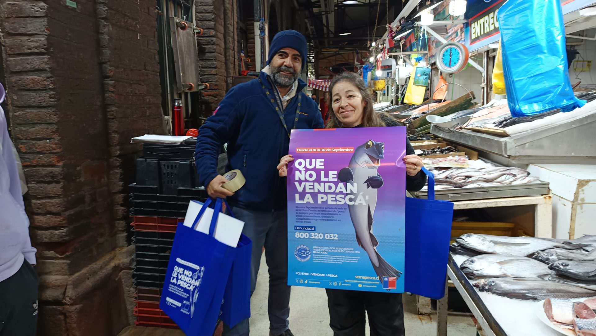 A partir de este 1 de septiembre comienza veda a la merluza común/Sernapesca