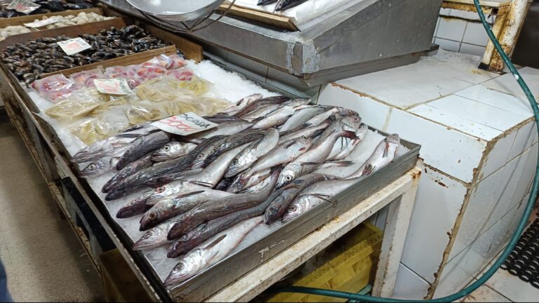 A partir de este 1 de septiembre comienza veda de la merluza común