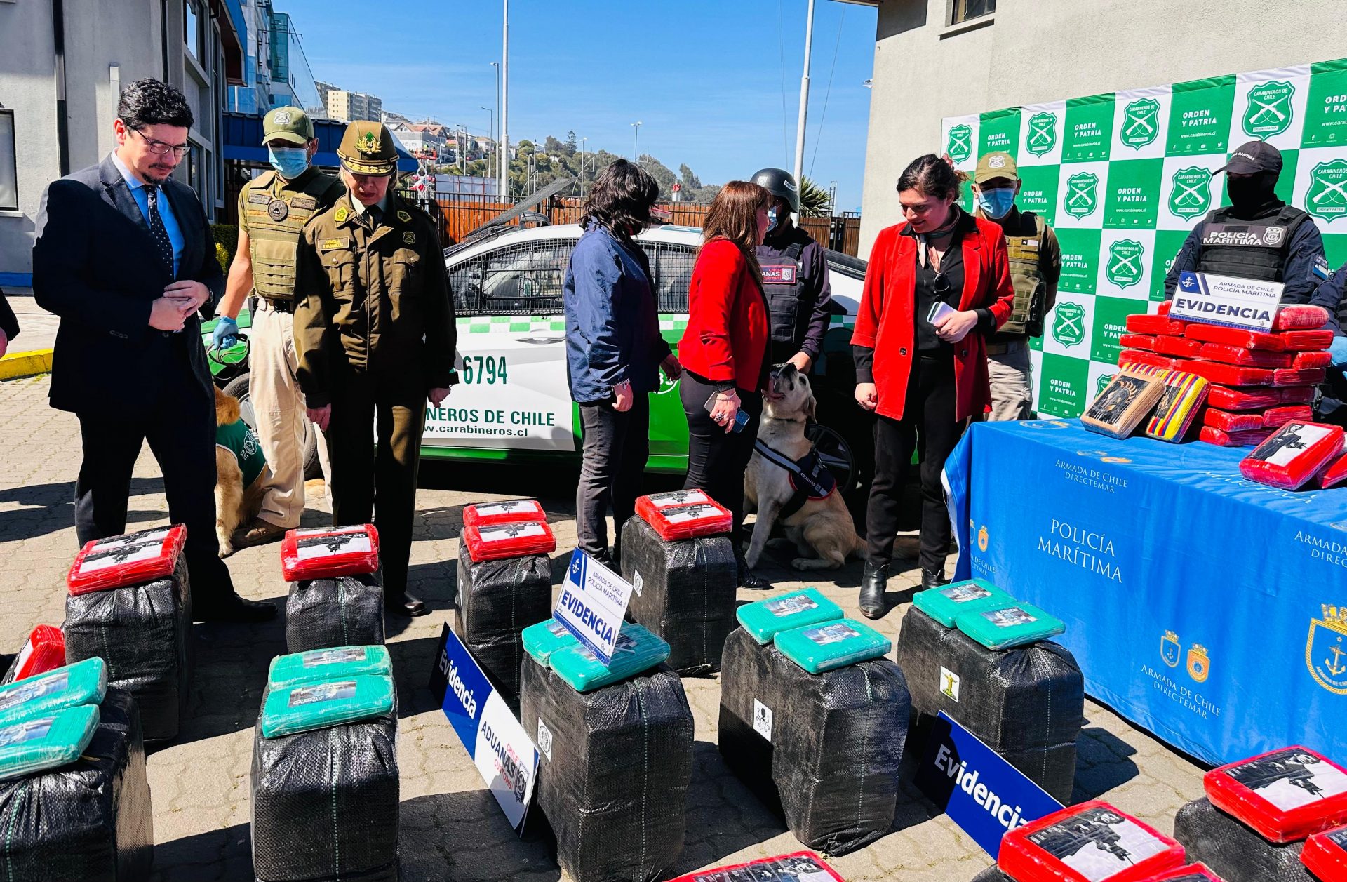 Incautan 850 kilos de marihuana "creepy" en Puerto de San Antonio/Carabineros