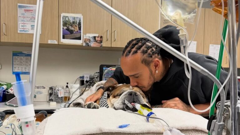 Lewis Hamilton confirma la muerte de su perro Roscoe: “Tenerlo fue una de las partes más hermosas de la vida”
