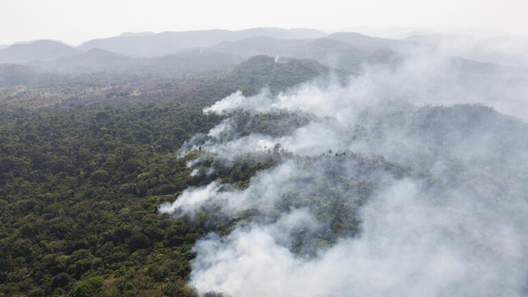 Incendios forestales en el Amazonas brasileño cayeron en septiembre a su nivel más bajo en 25 años
