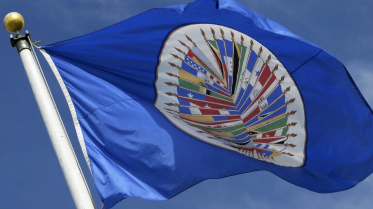Chile asume la presidencia del Consejo Permanente de la OEA: Estas serán sus funciones