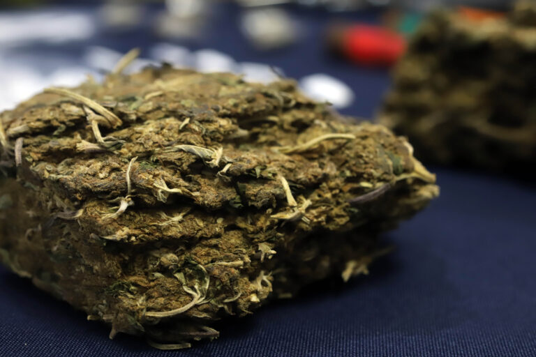 Decomisan en Ecuador 378 kilos de marihuana que iban a ser traídos a Chile