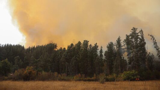 Probabilidad de incendios forestales: Conaf informa que más de 25 comunas en Chile están con Botón Rojo