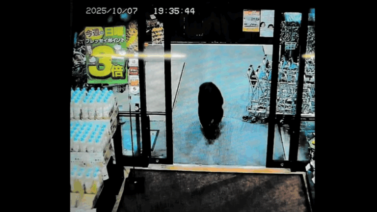 Hombre resultó herido tras ser atacado por un oso en un supermercado en Japón