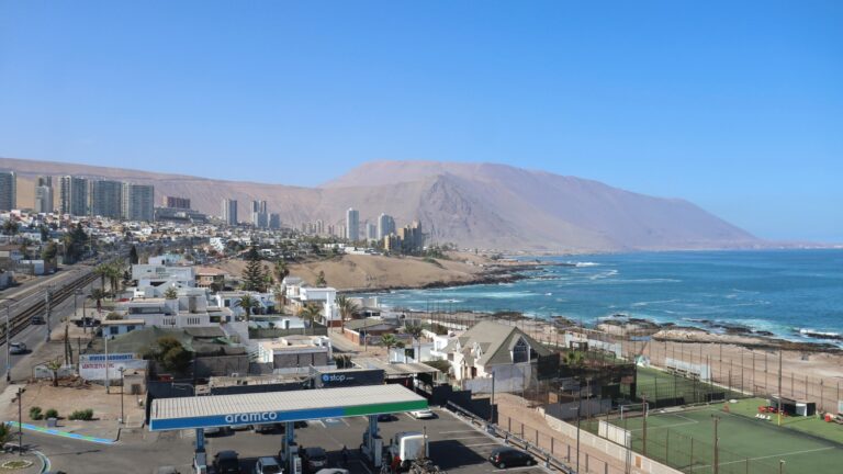 Pesca ilegal de jibia: Flota china frente a costas de Iquique genera fiscalización y denuncias de pescadores artesanales
