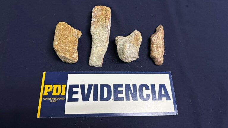 Detienen a sujeto por vender piezas arqueológicas en redes sociales: Están avaluadas en cerca de $7 millones