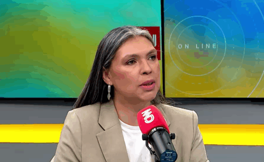 Bárbara Figueroa acusa que reforma de Kast busca darle un “suprapoder” al Presidente: “¿Lo necesitamos de verdad?”