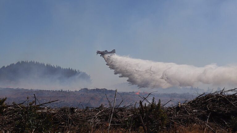 Incendios forestales: Conaf activa 