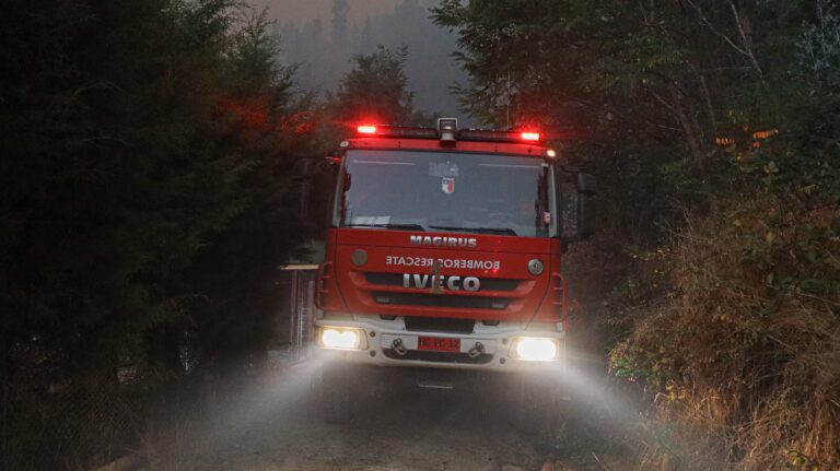 Declaran Alerta Roja en una comuna de la Región de O’Higgins por incendio forestal