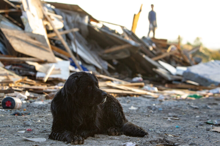 Lo Barnechea: inicia desalojo de toma en la Quebrada Las Zorras