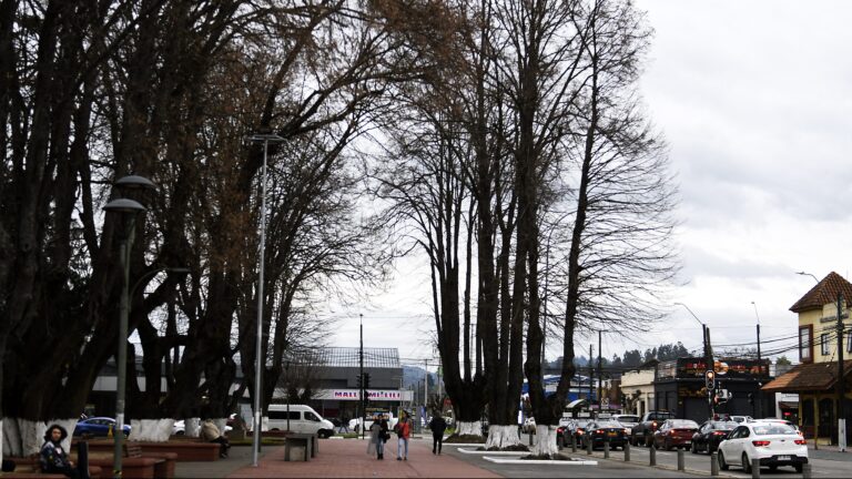 Pronóstico en la zona centro-sur: Vientos fuertes y posibles tornados afectarían al Biobío, La Araucanía y Los Lagos