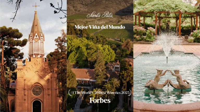 Forbes elige a viña de Chile dentro de las mejores de 2025 en rankin The World’s 50 Best Wineries 2025
