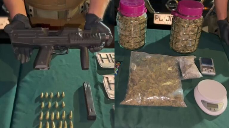 Encuentran un arma tipo Uzi en una parcela de Melipilla donde sujetos ocultaban autos robados