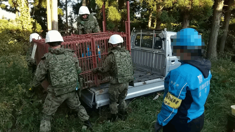 Japón busca hacer frente con el Ejército y con drones que ladran el aumento de ataques de osos