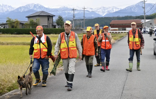 Un grupo de cazadores patrulla una zona cercana al lugar donde se produjo un ataque de oso en Toyama, Japón, el 16 de noviembre de 2023. Kyodo News/Getty Images