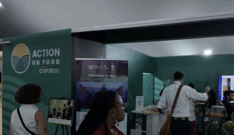 COP 30: una década después del Acuerdo de París, el mundo enfrenta nuevos desafíos climáticos