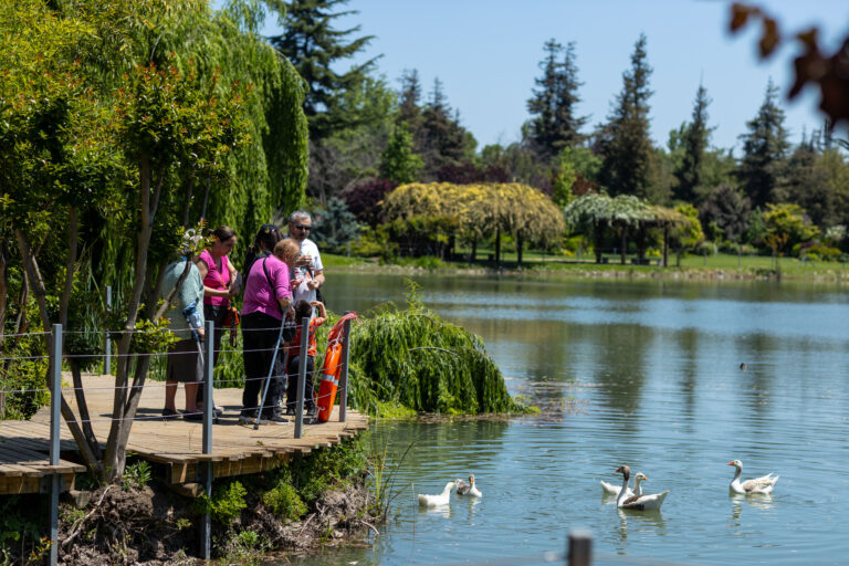 Santiago: Ministerio de las Culturas y APECH impulsan concurso de pintura in situ en nuevo parque urbano