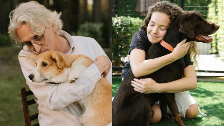 “Ley Duque”: Cámara aprueba proyecto que permite ausentarse del trabajo por la muerte de una mascota