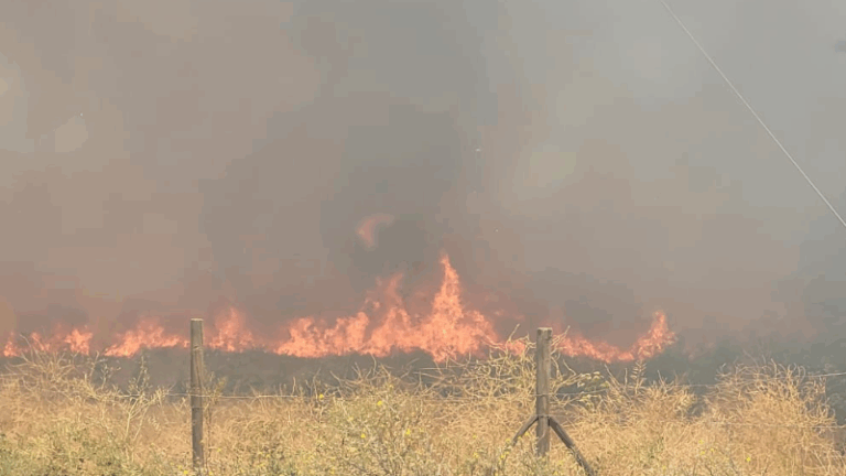 Incendio forestal en Pudahuel: Bombero y brigadista de Conaf sufrió paro cardiorrespiratorio