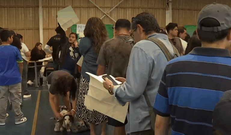 Confusión en Valparaíso por entrega anticipada de papeletas: Servel aclara que se trató de un 