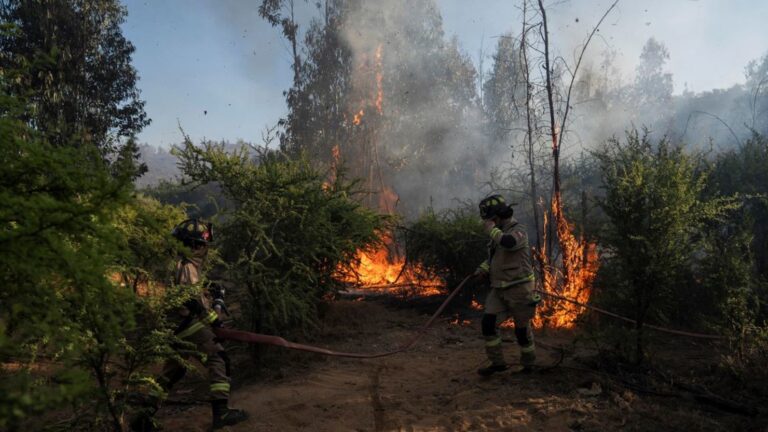 Alerta roja en Tiltil: Incendio forestal consumió 10 hectareas y deja ocho damnificado