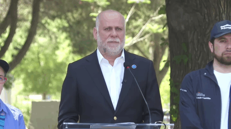 Elizalde descarta telefonazo de Araya por AC contra Simpertigue: 