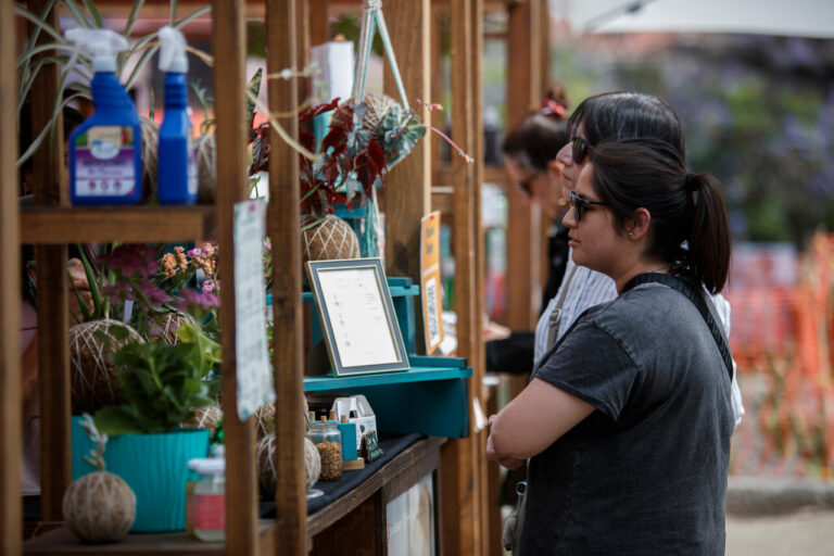 Chile alcanza casi 2 millones de microemprendedores: Más de la mitad trabaja en la informalidad, Según el INE