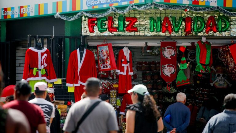 Comprar en locales establecidos y revisar certificaciones: Sernac entrega recomendaciones de seguridad para Navidad y Año Nuevo