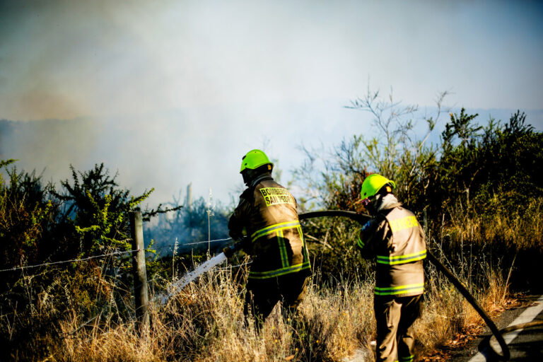 Nueve incendios forestales activos arrasan más de 1.900 hectáreas y mantienen alertas rojas en O’Higgins y el Maule