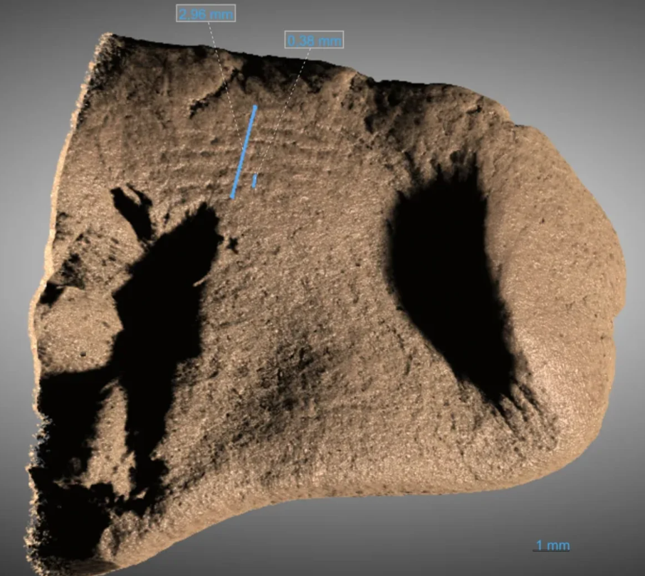 Se encontró una huella dactilar humana parcial en fragmentos de alquitrán. Se muestra una tomografía de rayos X de alta resolución de la zona donde se encontró la huella. Sahel Ganji/Universidad de Lund