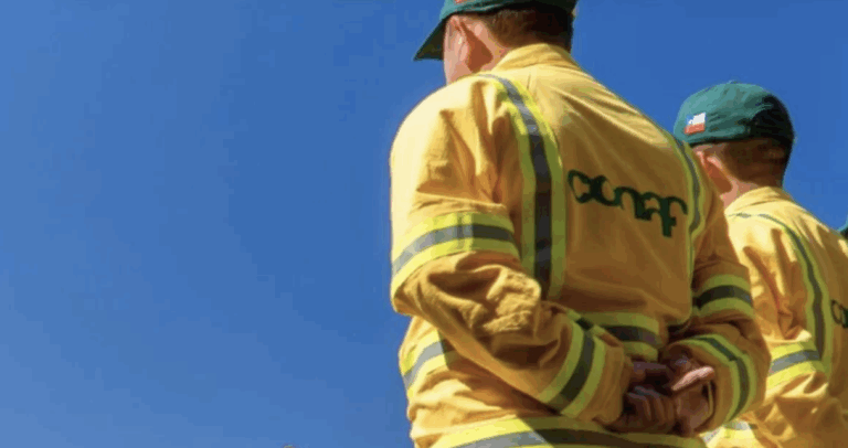 DMC emite aviso por altas temperaturas y Conaf refuerza alerta por riesgo de incendios