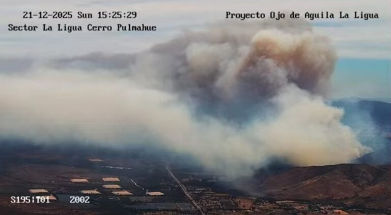 Senapred declara alerta Roja en Zapallar y La Ligua por incendio forestal